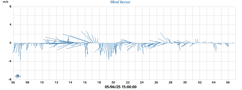 Wind Vector