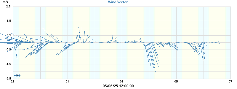 Wind Vector
